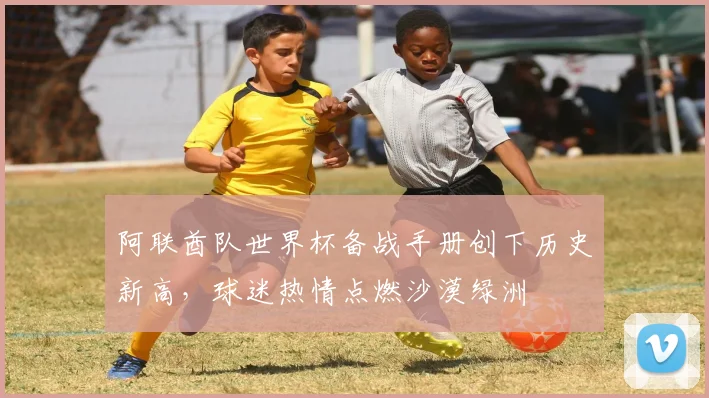 阿联酋队世界杯备战手册创下历史新高，球迷热情点燃沙漠绿洲