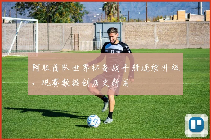 阿联酋队世界杯备战手册连续升级，观赛数据创历史新高