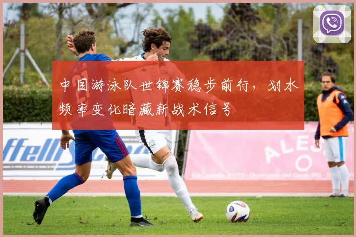 中国游泳队世锦赛稳步前行，划水频率变化暗藏新战术信号